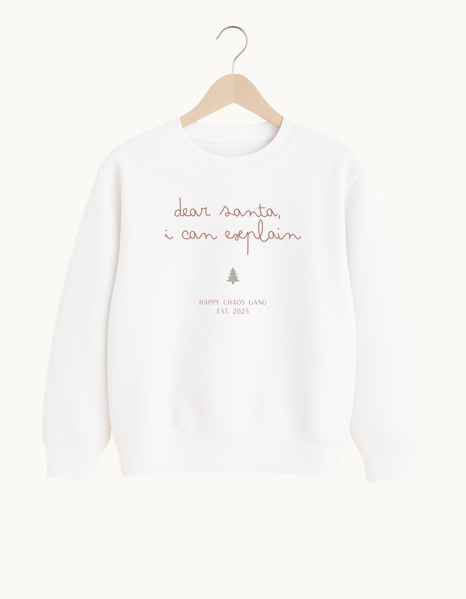 Dear Santa, I can explain Kids Sweater