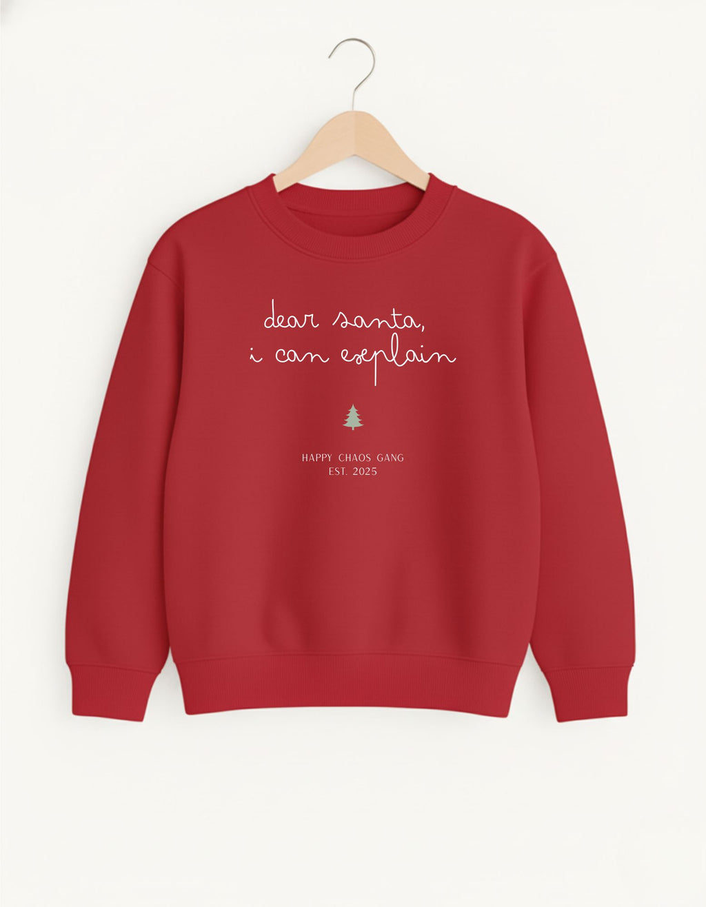 Dear Santa, I can explain Kids Sweater
