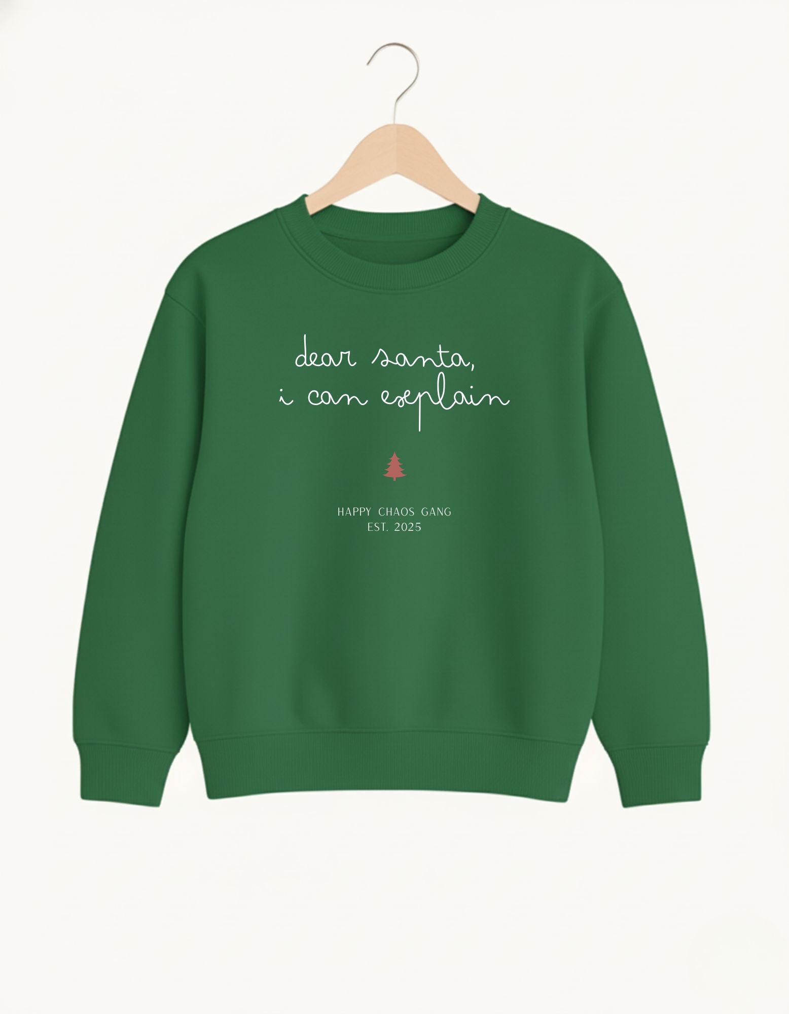 Dear Santa, I can explain Kids Sweater
