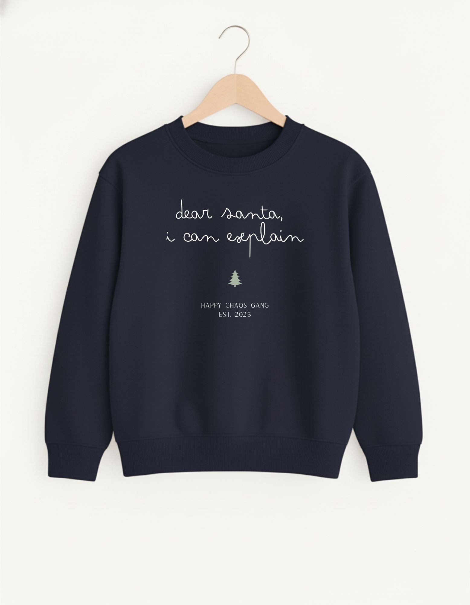 Dear Santa, I can explain Kids Sweater