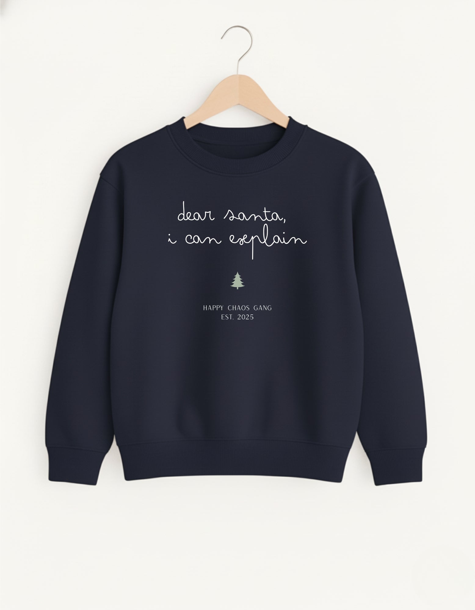 Dear Santa, I Can Explain Adult Sweater