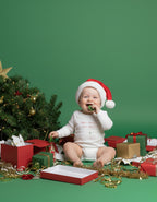 Dear Santa, I Can Explain